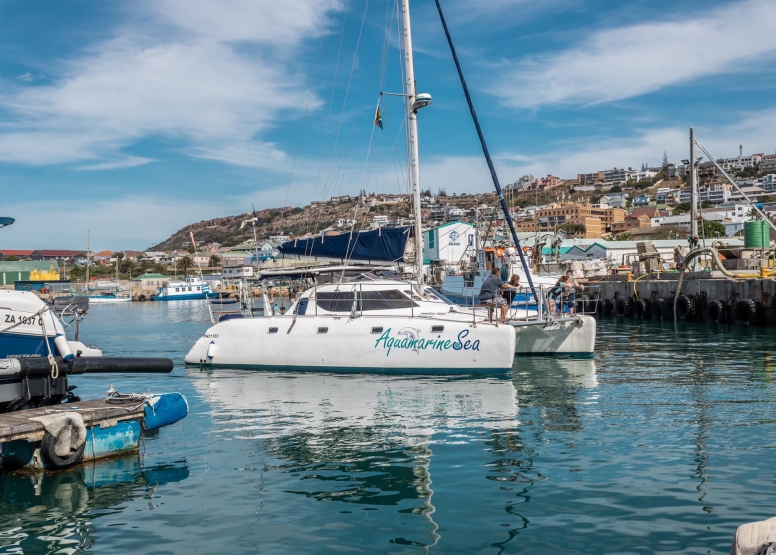 Sunset Sailing Trip Mossel Bay image 2