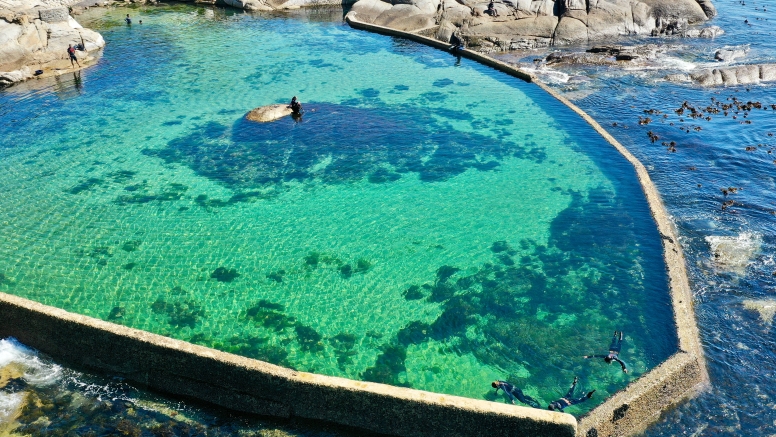 Snorkel Cape Town's Stunning Tidal Pools image 2