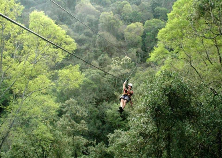 Karkloof Canopy Tour image 3