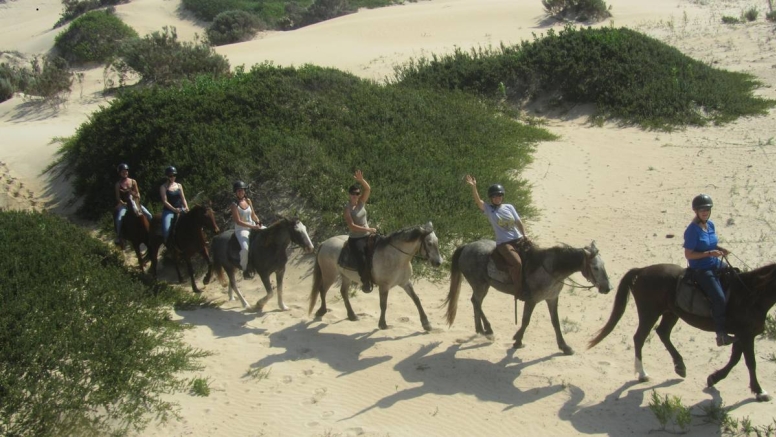 Beach Horse Trail Intermediate image 2