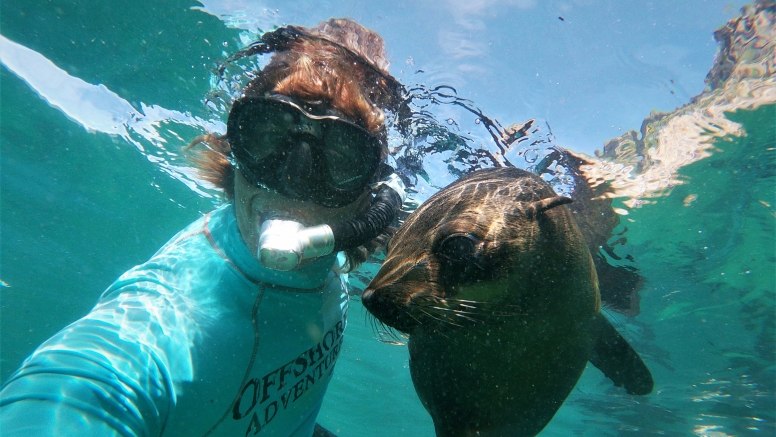Swim with Seals image 1