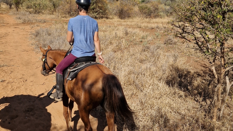 1 Hour Horseback Trail Safari Hoedspruit image 8