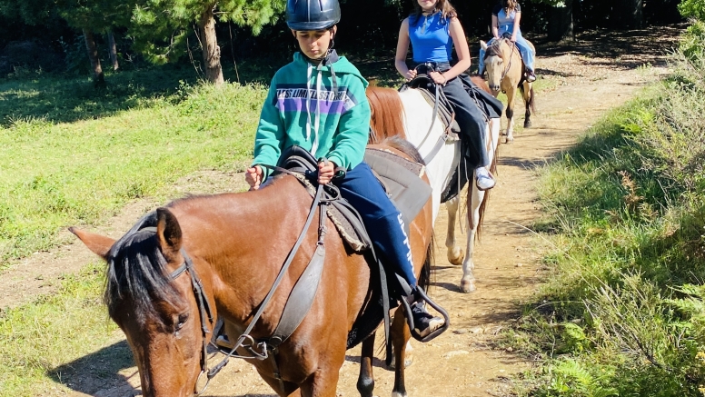 Afternoon Horse Ride in Swellendam image 3