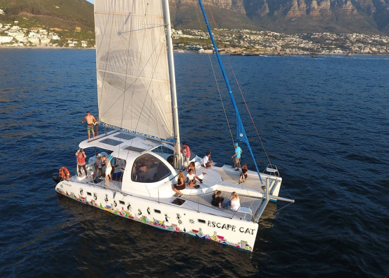 Abseil and Boat Cruise Adventure Combo Cape Town image 3