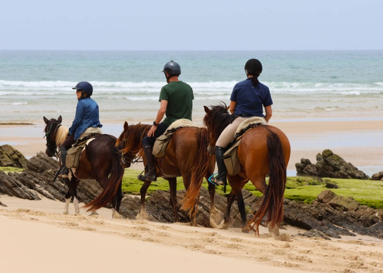 Full Day Beach Horse Ride image 1