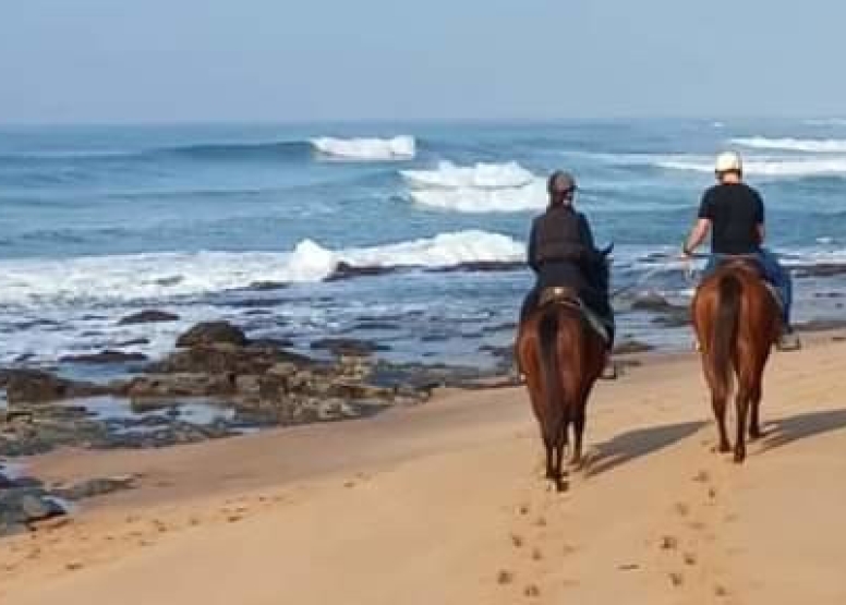 30 Minute Beach Horse Ride Ballito image 4