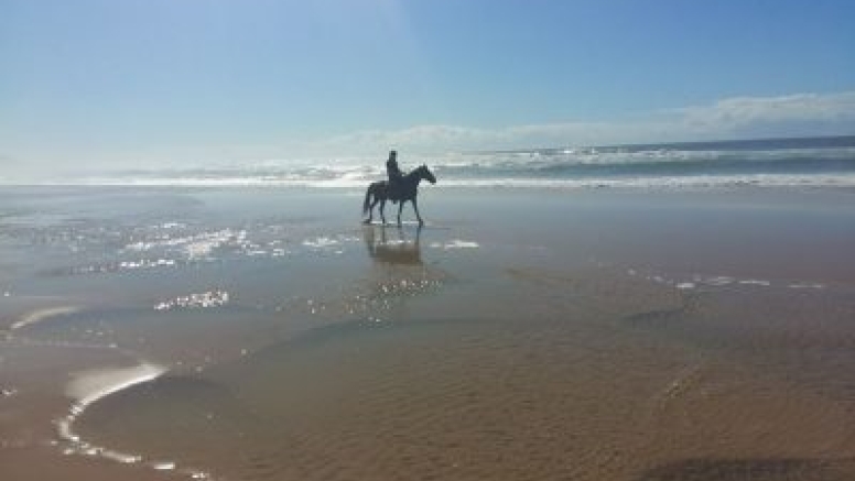 Full Day Beach Horse Ride image 6