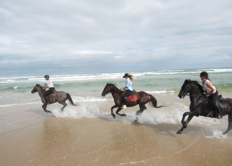 Beach Horse Ride 90mins image 5