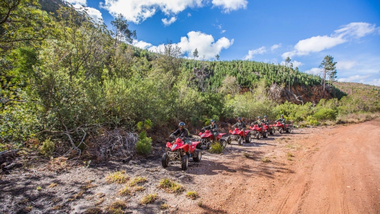 Quad Bike Trails Hermanus image 8