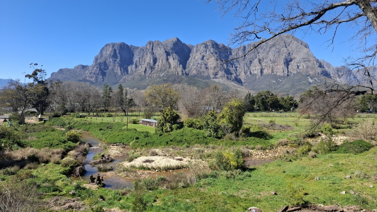 Banhoek Full Day E Vinebike Tour Stellenbosch image 3