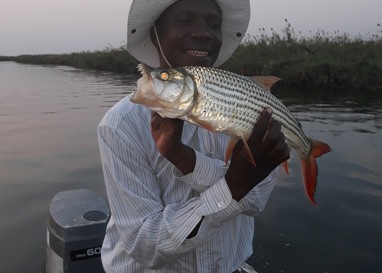 Tiger Fishing - Komati River, Mpumalanga-1 Day image 8