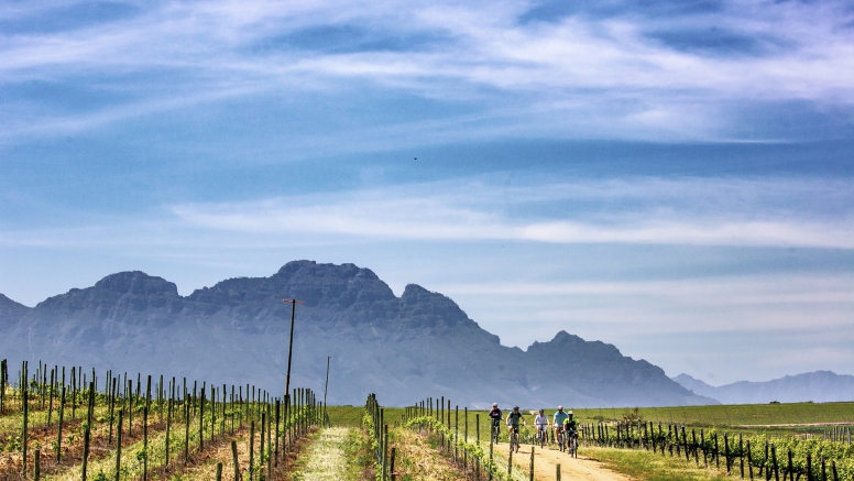 Stellenbosch Half Day Winelands EBike Tour image 5