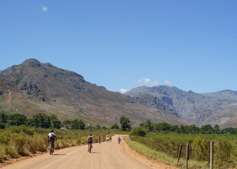 Franschhoek Half Day Winelands EBike Tour image 2