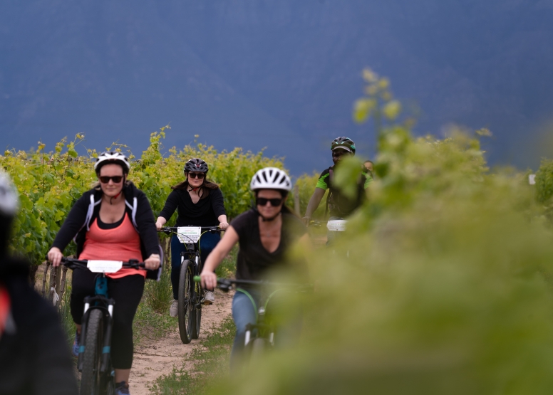 Stellenbosch Half Day Winelands EBike Tour image 2