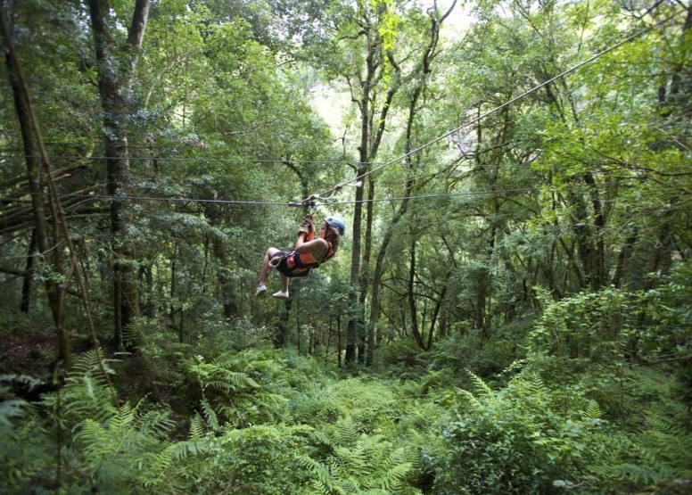 Drakensberg Canopy Tour image 5