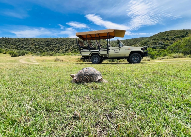 Game Drive image 1