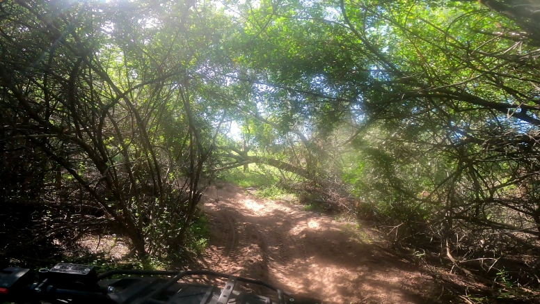 11km Quad Bike Ride Oudtshoorn image 14