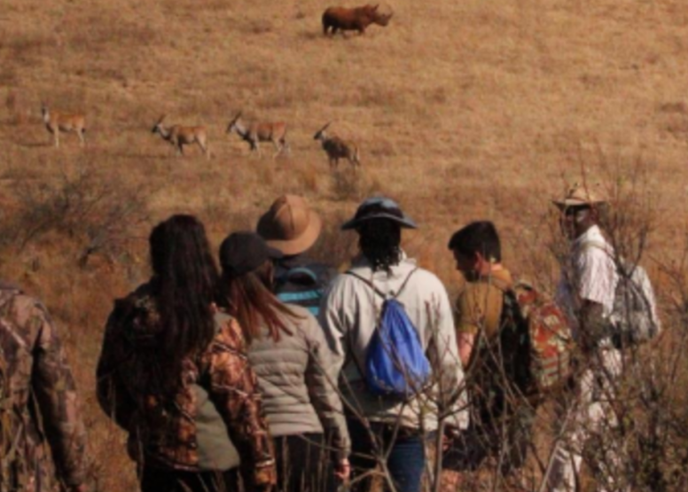 Savannah Trail Guided Walk Bothongo Rhino and Lion Nature Reserve image 2