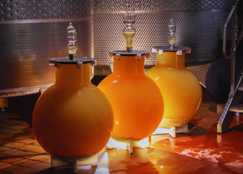 Wine Safari Tour-Northern Line image 8