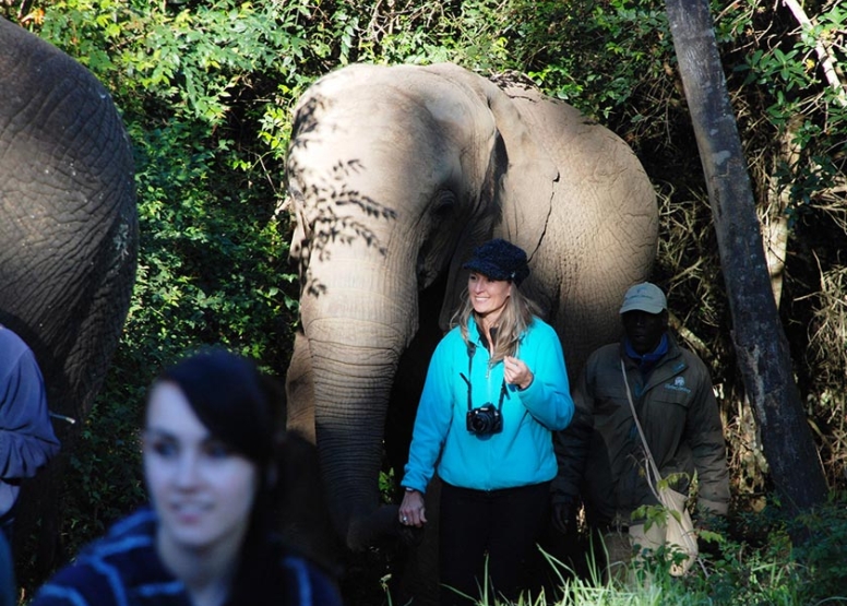 Trunk-in-Hand Elephant Tour image 1