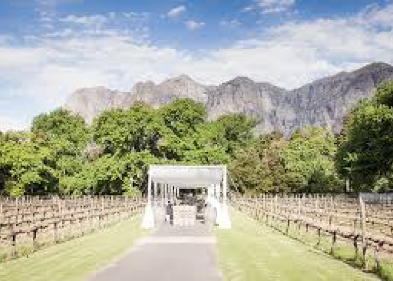 Winelands Wedding Location image 3