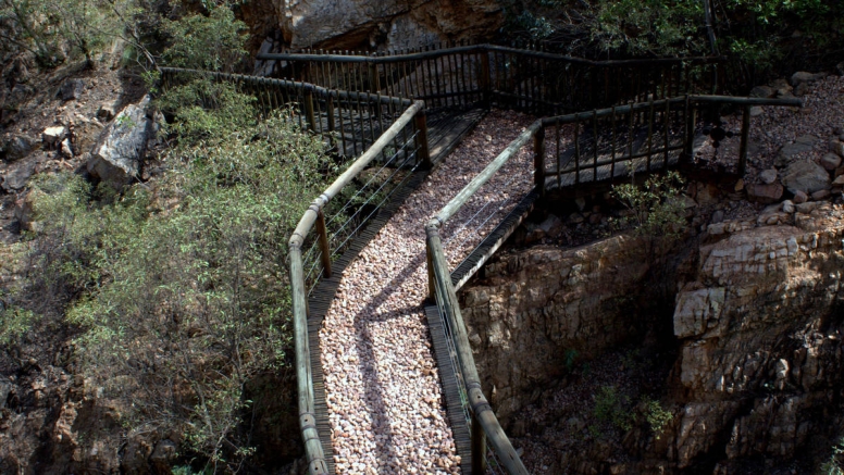 Harties Monkey Sanctuary Feeding Tour image 5