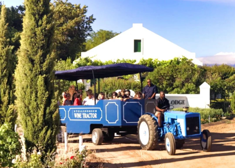 Stellenbosch Wine Tractor Hop On Hop Off Experience image 1