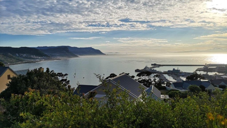 Albatross House Guest House image 12