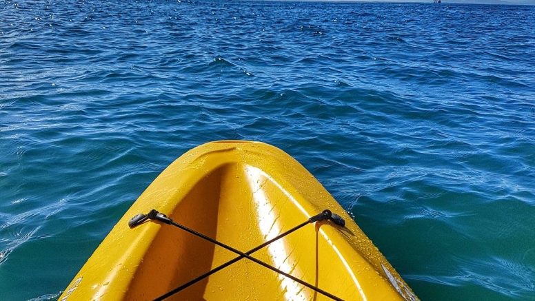 Penguin Kayak Paddle image 2