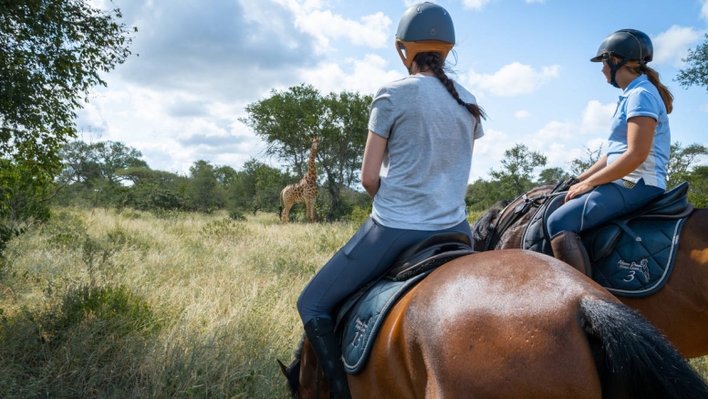 1 Hour Horseback Trail Hoedspruit image 3