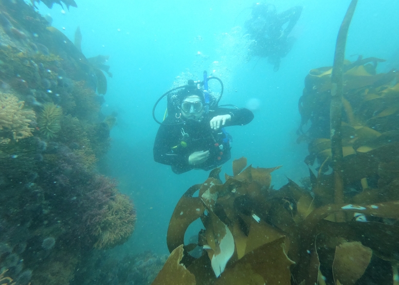 Great African Sea Forest Single Scuba Dive Shore Entry image 2