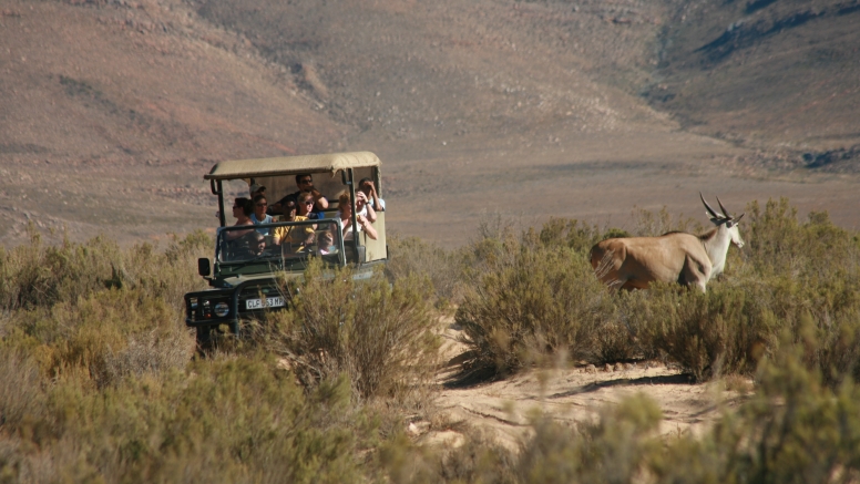 Day Trip Safari Morning (Including Transfer) image 1