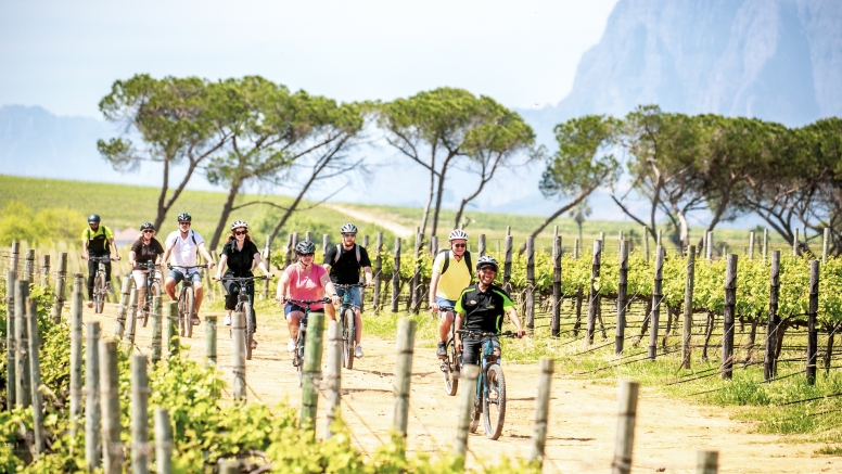 Stellenbosch Half Day Winelands Cycle Tour image 5