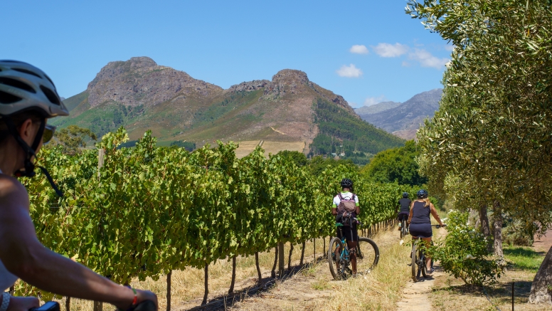 Franschhoek Half Day Winelands Cycle Tour image 4
