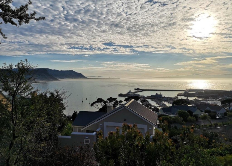 Albatross House Guest House image 13