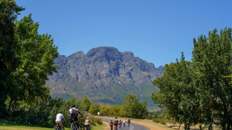 Franschhoek Winelands Luxury EBike Cycle Tour image 3