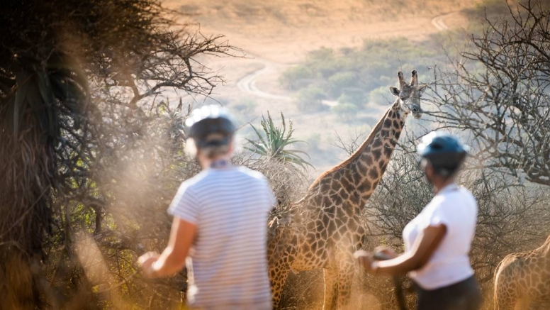 1 Hour Segway Safari at Tala Game Reserve image 1