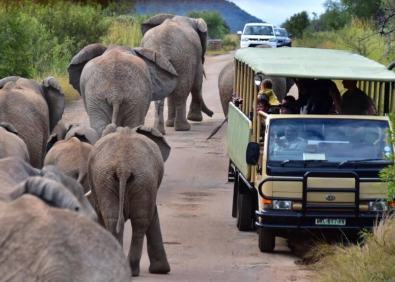 Scheduled Game Drive Manyane Gate Pilanesberg Game Reserve image 1