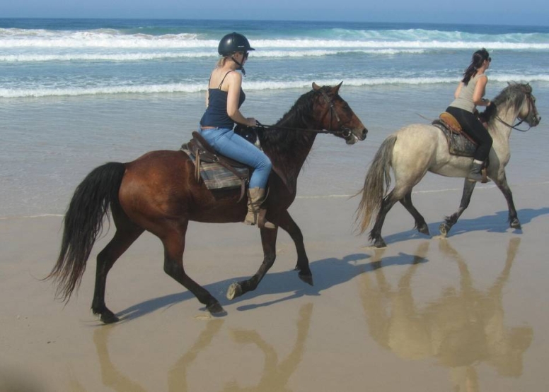 Beach Horse Trail Beginners image 4