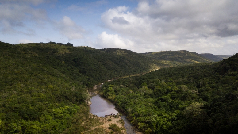 Yellowwood Forest Ride image 3