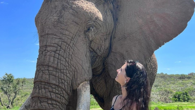 Elephant Interaction Mossel Bay image 5