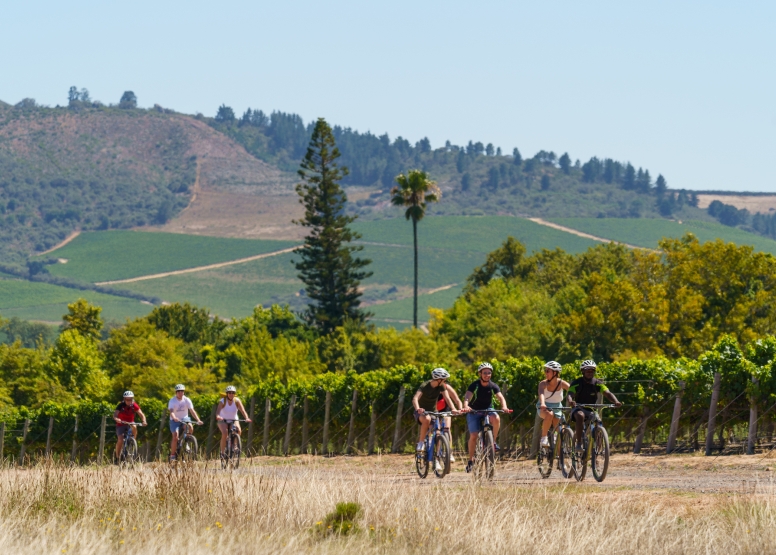 Stellenbosch Half Day Winelands Cycle Tour image 3