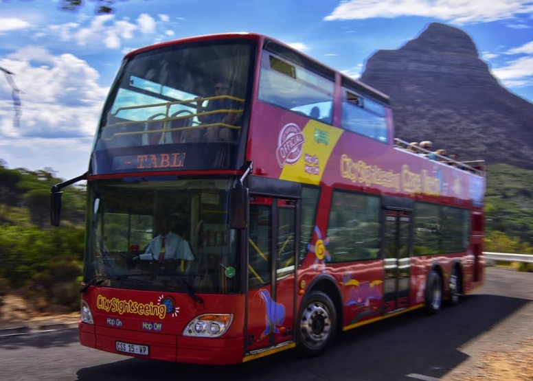 City Sightseeing Cape Town 1 Day Hop on Hop off bus ticket image 5
