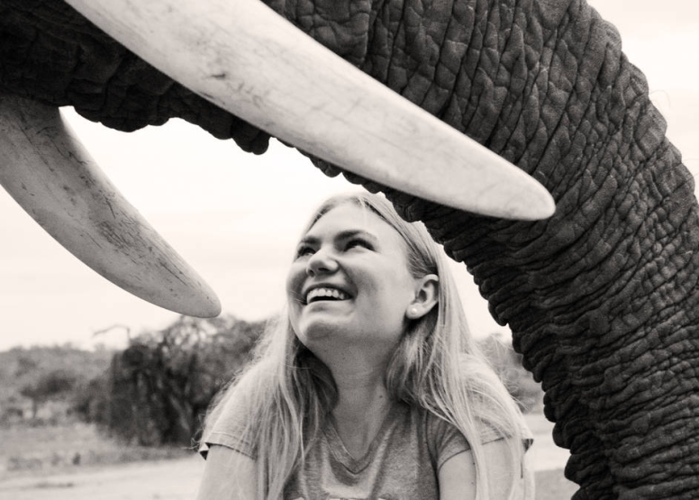 Elephant Moments at Jabulani Safari image 5