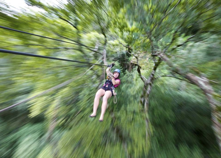 Drakensberg Canopy Tour image 4