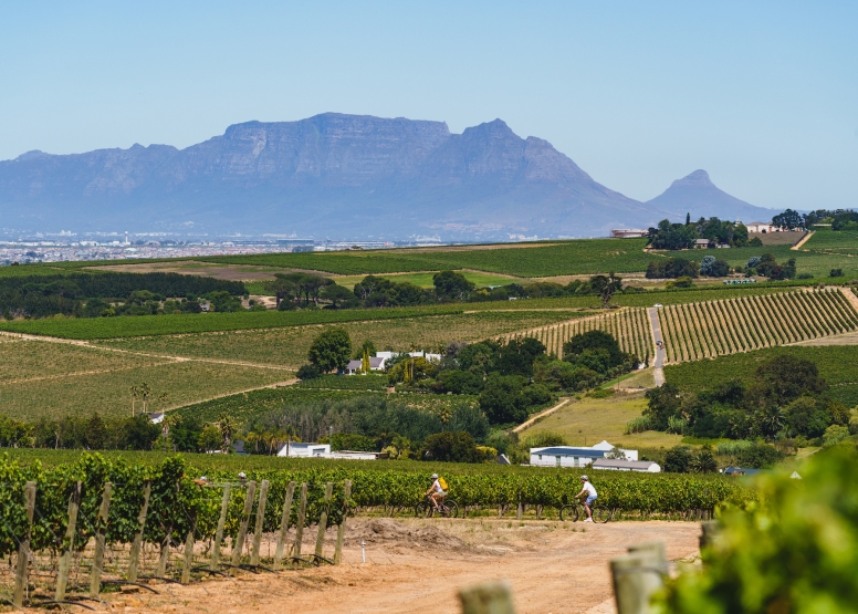 Stellenbosch Half Day Winelands EBike Tour image 4