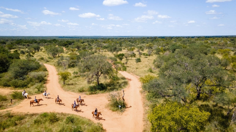 2 Hour Horseback Trail Hoedspruit image 2