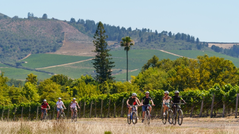 Stellenbosch Half Day Winelands Cycle Tour image 3