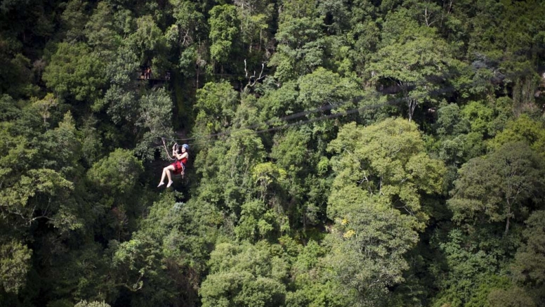 Drakensberg Canopy Tour image 1