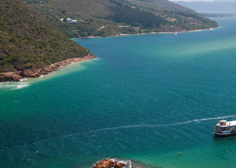 Paddle Cruiser Lunch Cruise image 2